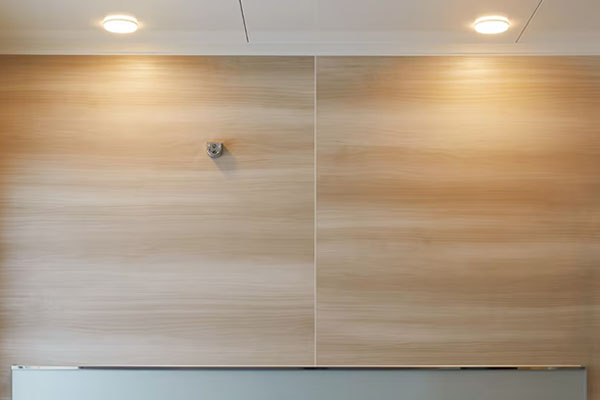 リデアM パネルダウンライト